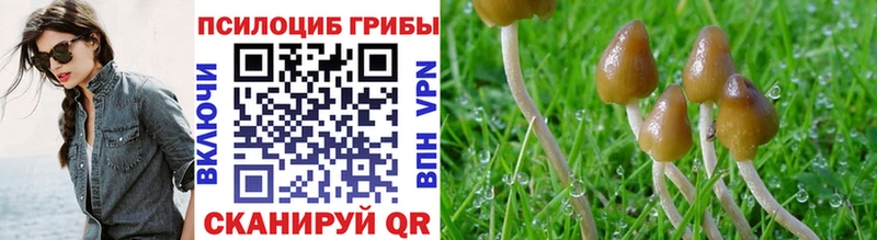 Галлюциногенные грибы Psilocybe  Белоозёрский 